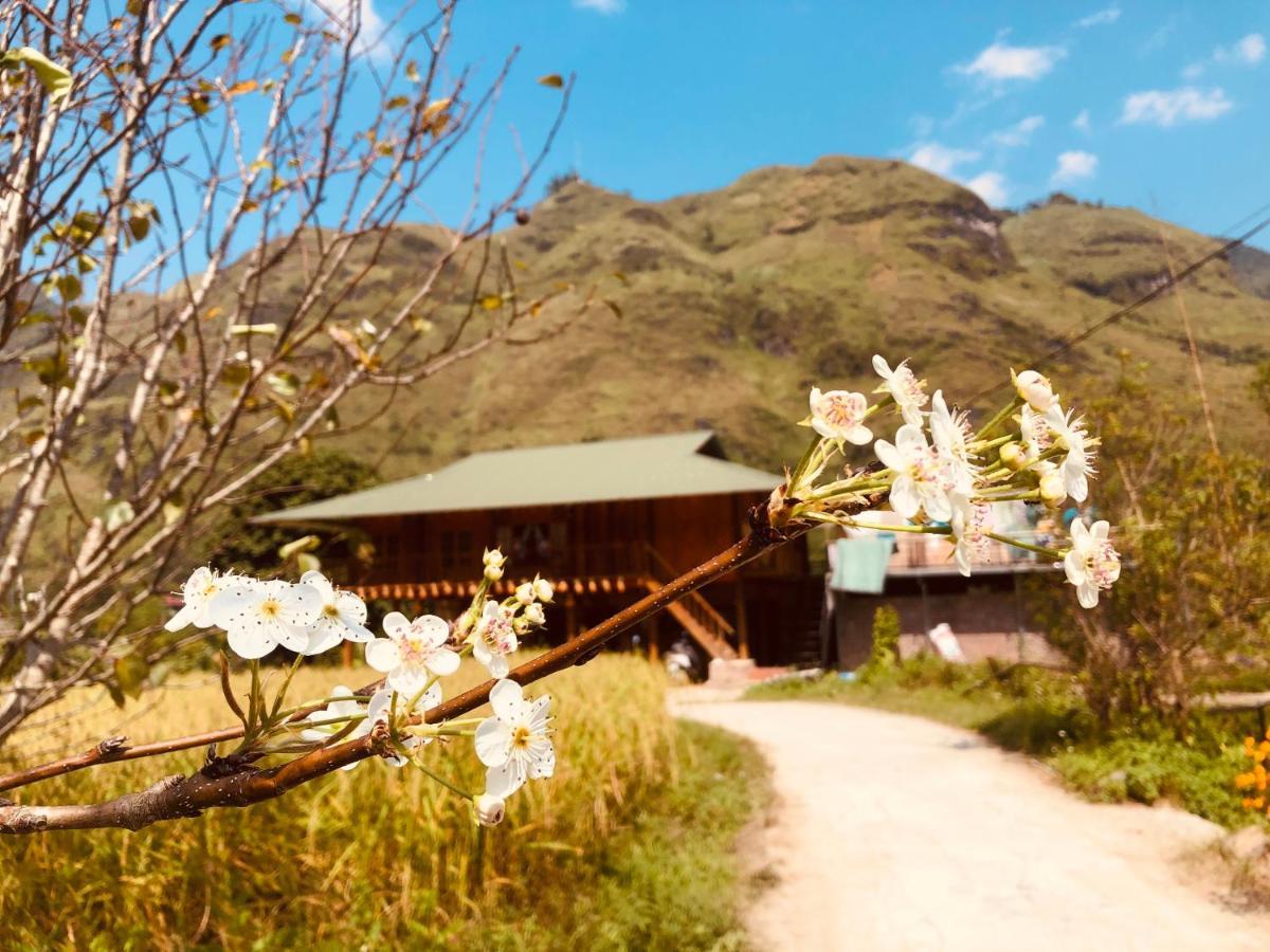 Wild Orchid- Lan Home Làng Cac エクステリア 写真