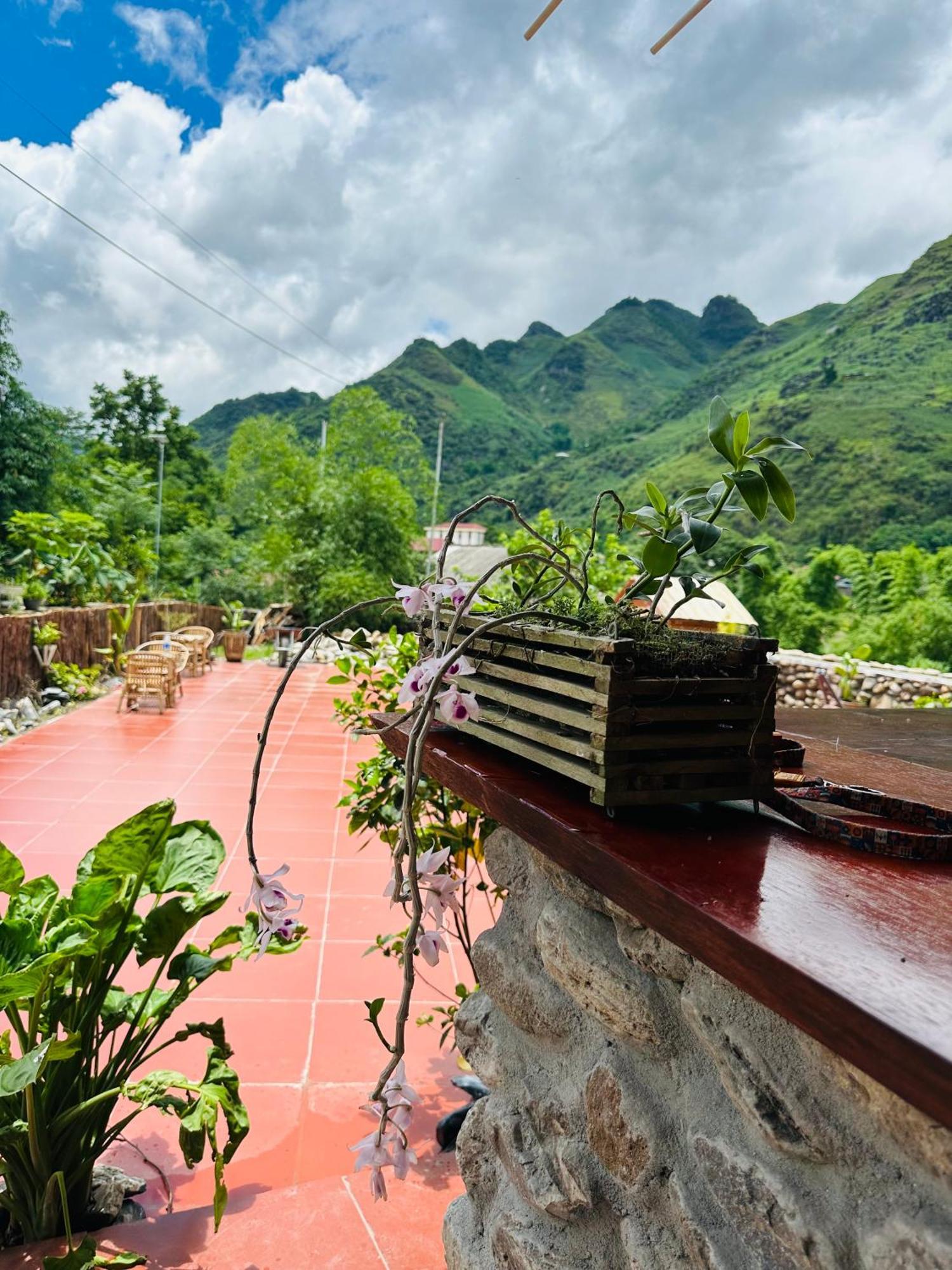Wild Orchid- Lan Home Làng Cac エクステリア 写真