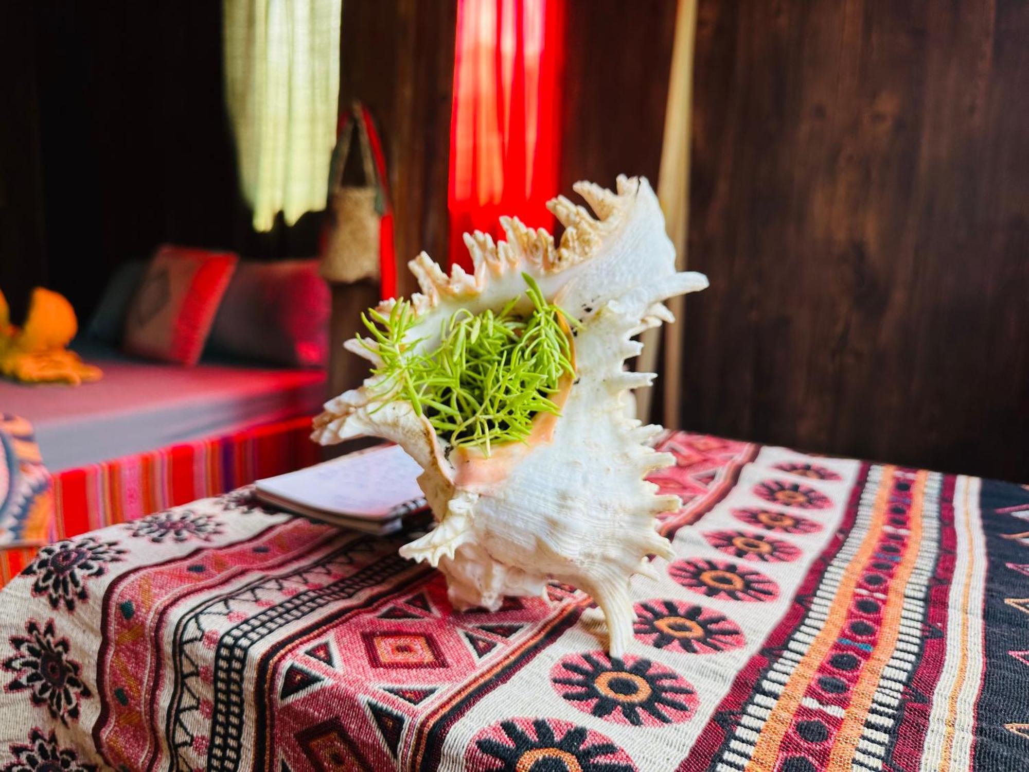 Wild Orchid- Lan Home Làng Cac エクステリア 写真